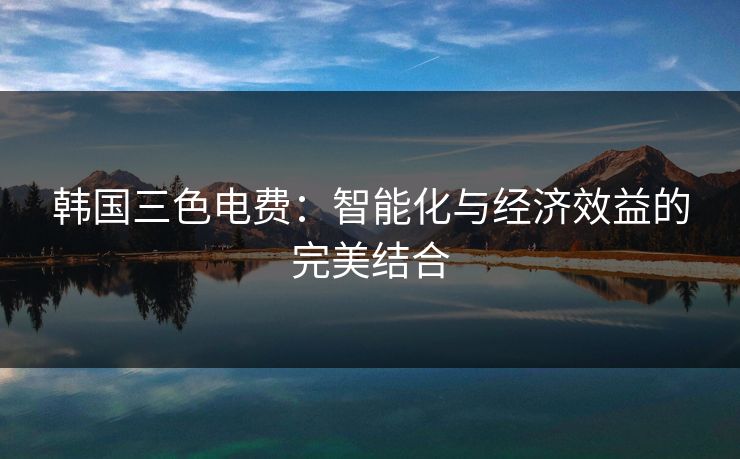 韩国三色电费：智能化与经济效益的完美结合