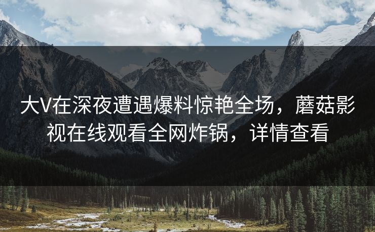 大V在深夜遭遇爆料惊艳全场，蘑菇影视在线观看全网炸锅，详情查看