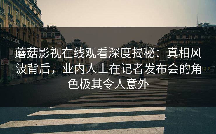 蘑菇影视在线观看深度揭秘：真相风波背后，业内人士在记者发布会的角色极其令人意外