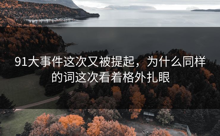 91大事件这次又被提起，为什么同样的词这次看着格外扎眼